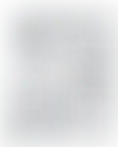 Изображение карточки лота