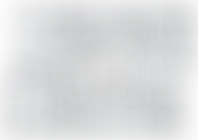 Изображение карточки лота