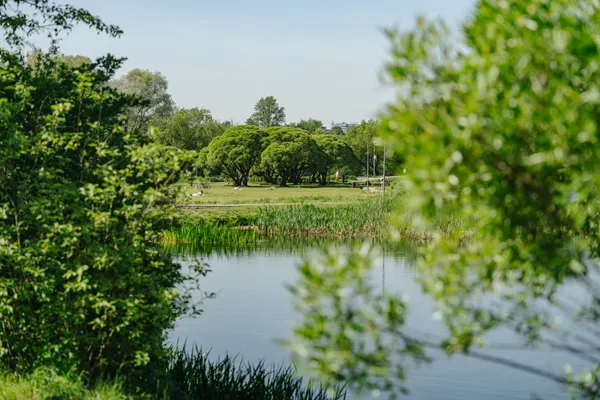 Осознанный подход к защите окружающей среды